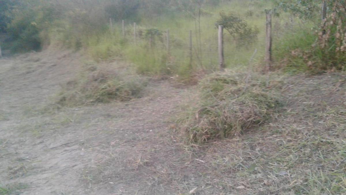 Lote, Zona Rural, 1 Quarto, 0 Vaga