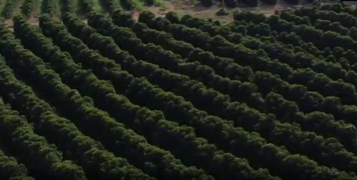 Fazenda, Zona Rural, 0 Quarto, 0 Vaga