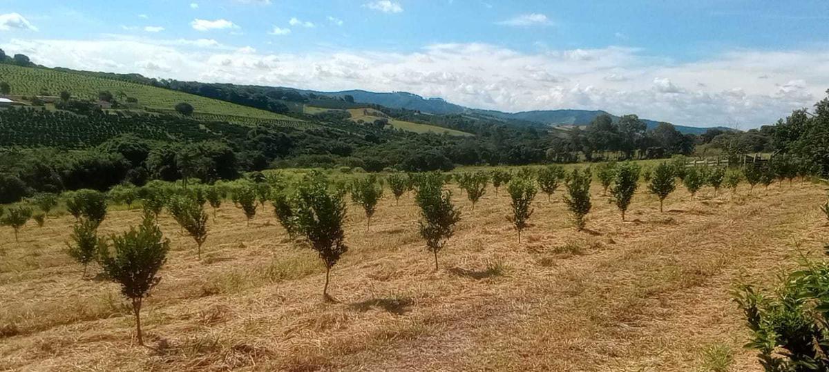Fazenda, Zona Rural, 3 Quartos, 0 Vaga