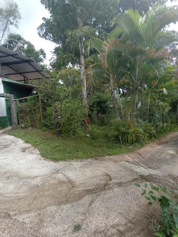 Fazenda, Macacos, 7 Quartos, 12 Vagas, 4 Suítes