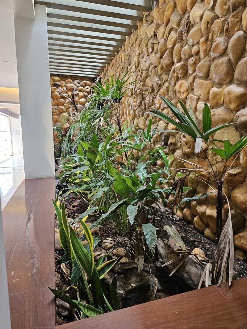 Casa, Fernão Dias, 5 Quartos, 4 Vagas, 5 Suítes