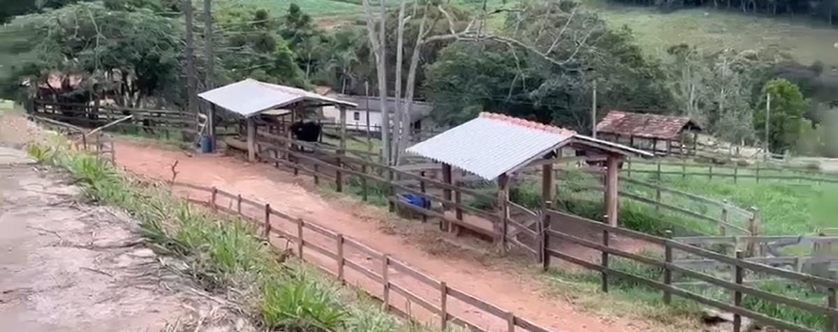 Fazenda, Area Rural de Juiz de Fora, 0 Quarto, 0 Vaga