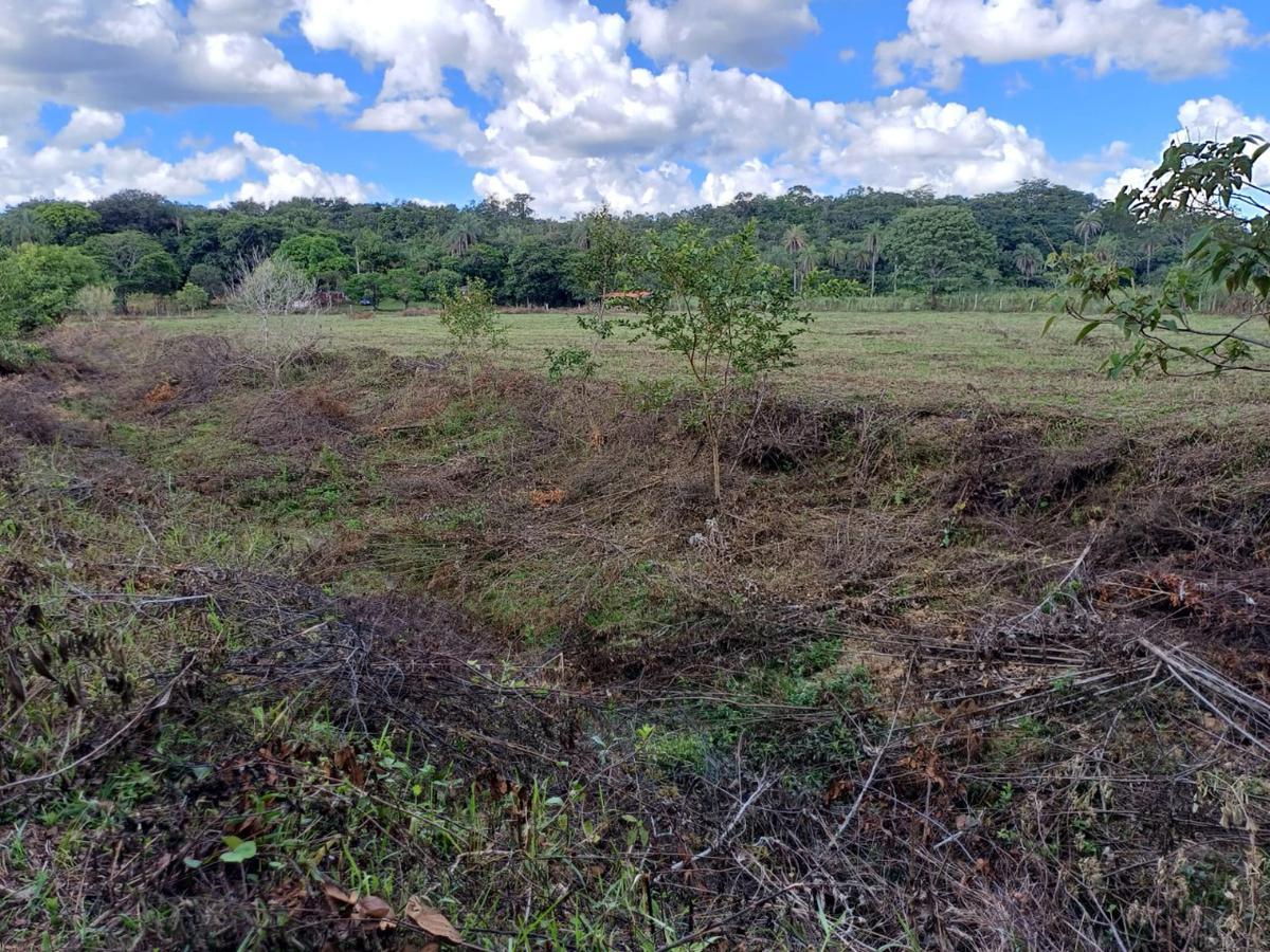 Fazenda, Centro, 3 Quartos, 10 Vagas