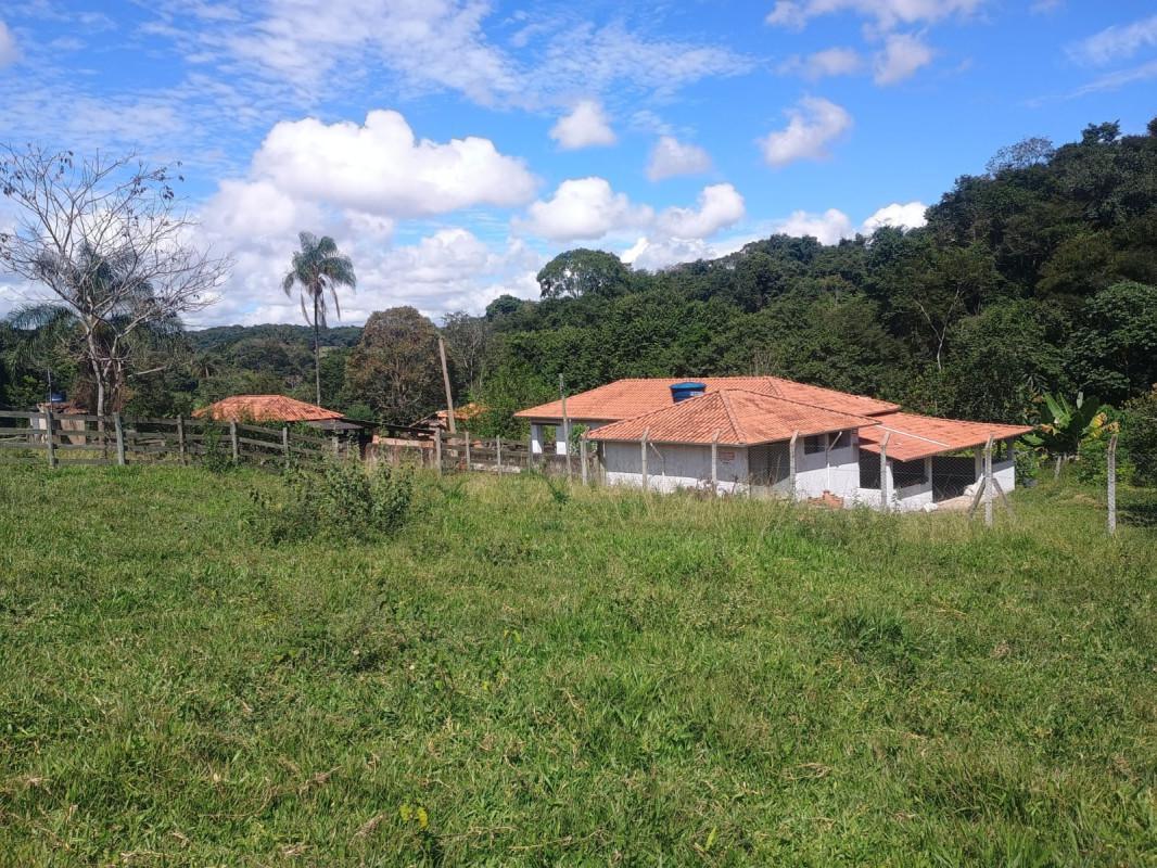 Fazenda, Centro, 0 Quarto, 0 Vaga