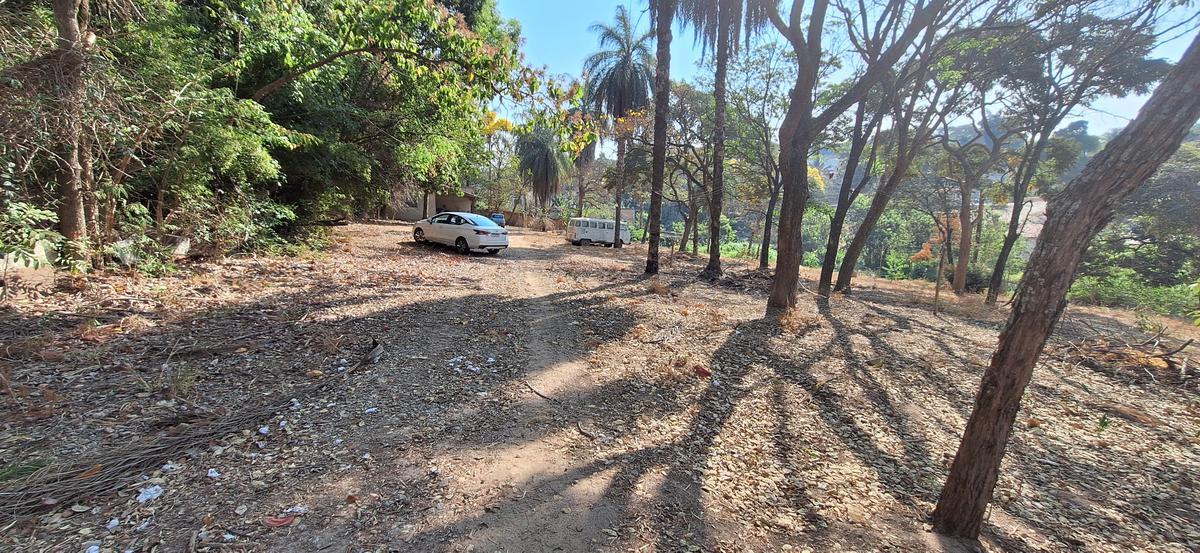Lote, Chácara Cotia, 0 Quarto, 0 Vaga