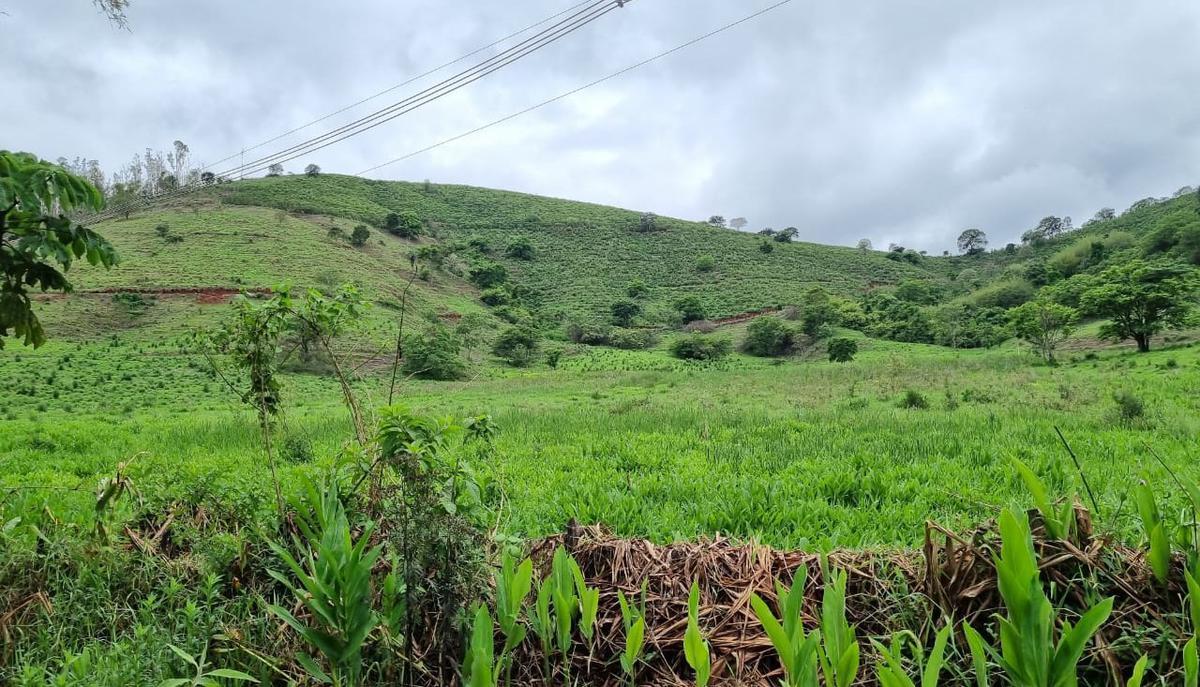 Fazenda, Zona Rural, 1 Quarto, 0 Vaga