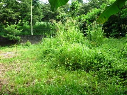 Lote, Bandeirantes (pampulha)