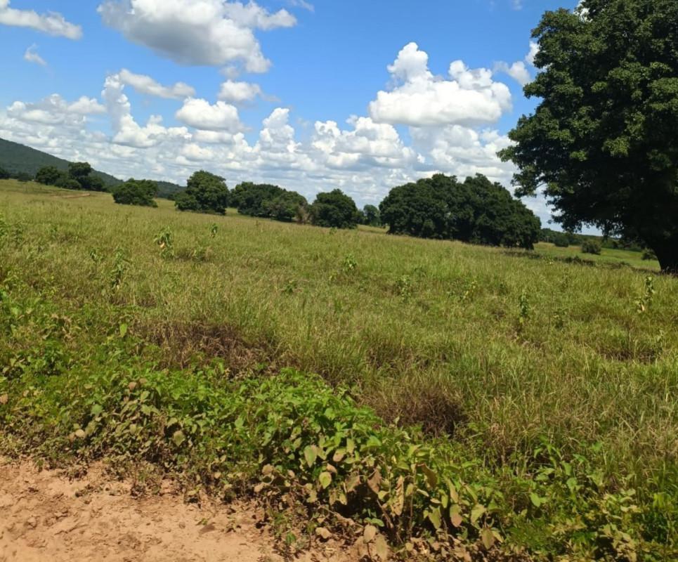 Fazenda, Zona Rural, 0 Quarto, 0 Vaga