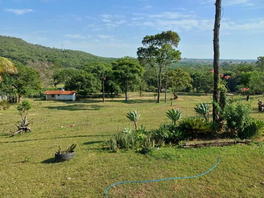 Fazenda, Centro, 0 Quarto, 0 Vaga