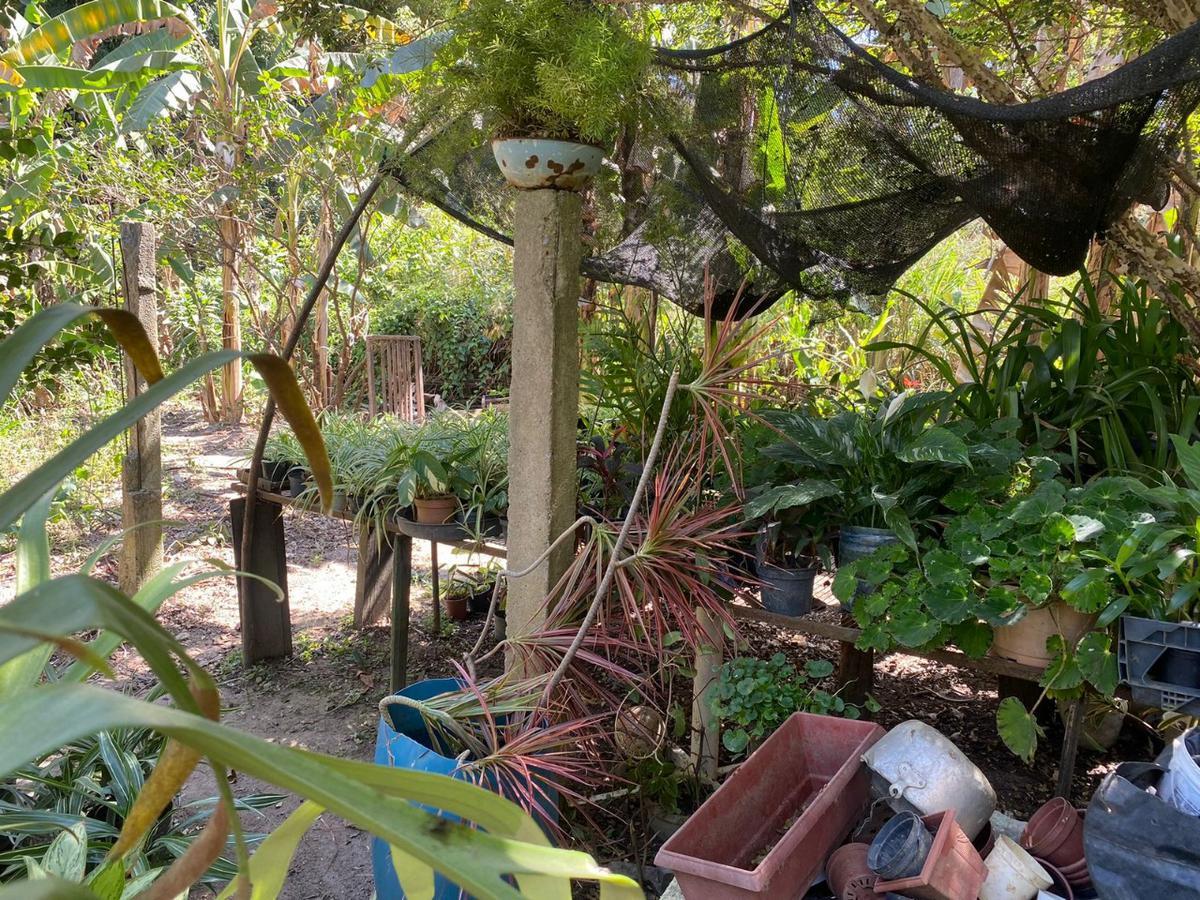 Fazenda, Vianópolis, 3 Quartos, 2 Vagas
