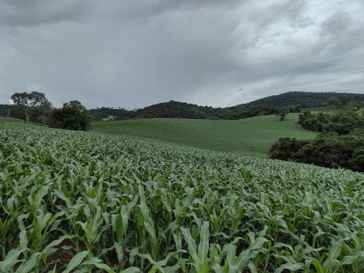 Fazenda, Zona Rural, 3 Quartos, 0 Vaga