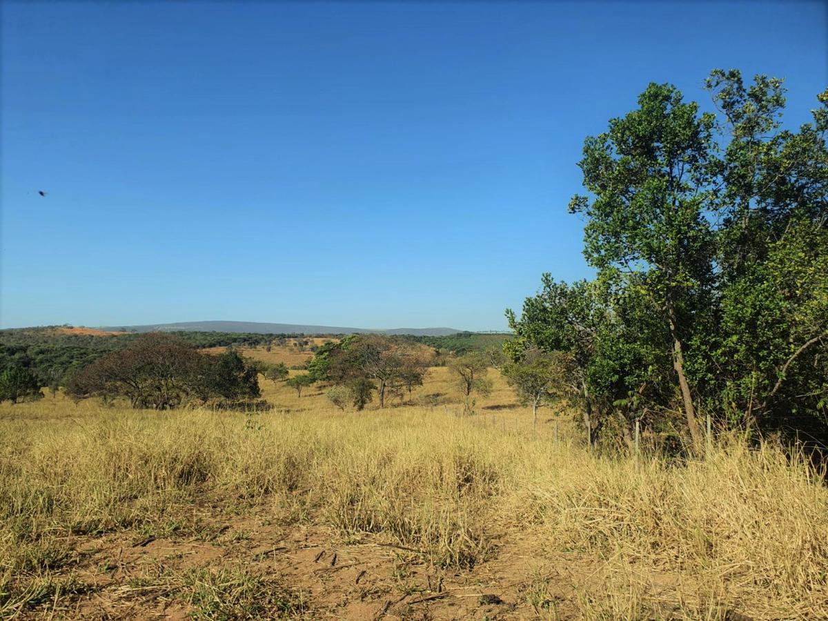 Fazenda, Centro, 1 Quarto, 0 Vaga