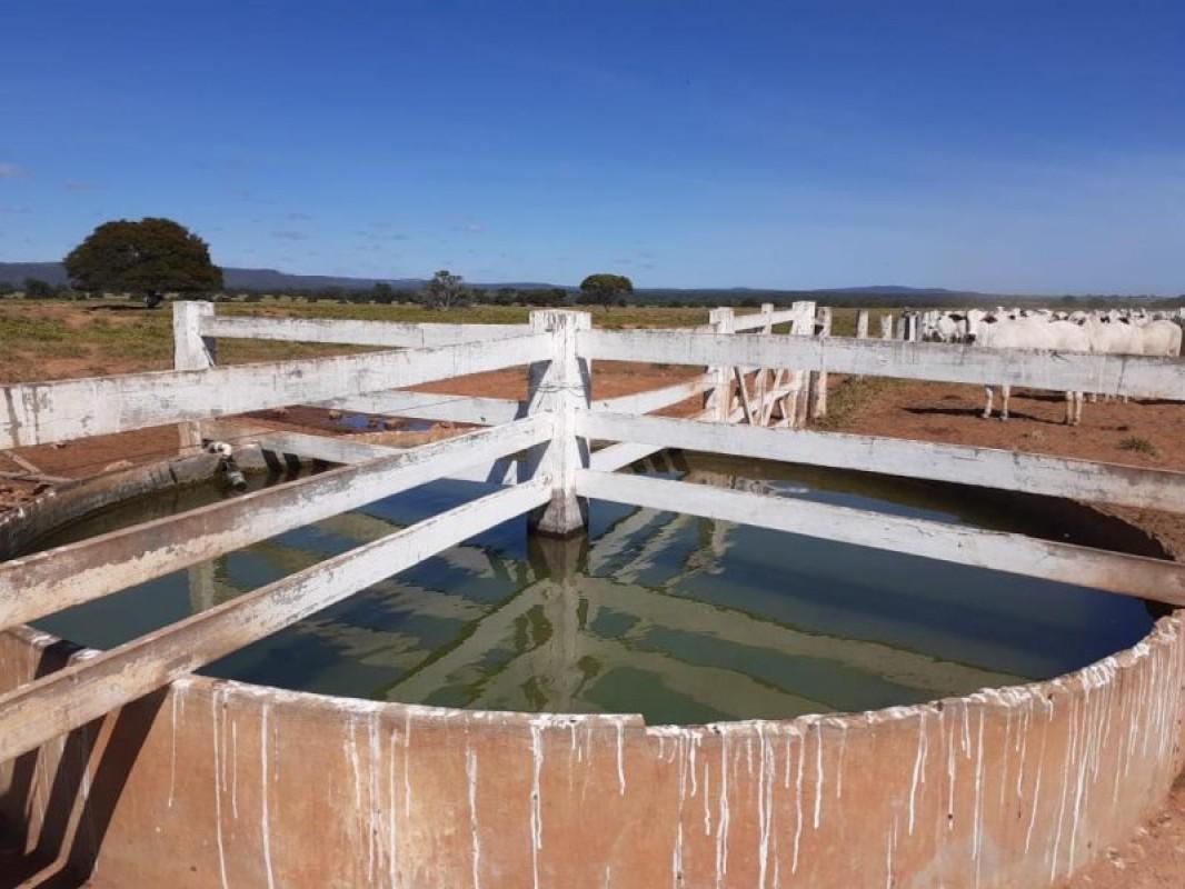 Fazenda, Centro, 0 Quarto, 0 Vaga
