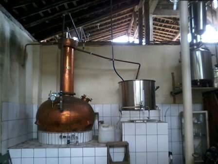 Fazenda, Centro, 4 Quartos, 10 Vagas, 4 Suítes