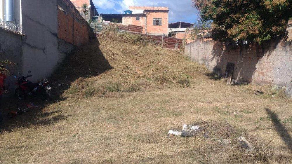 Lote, Cruzeiro do Sul, 0 Quarto, 0 Vaga