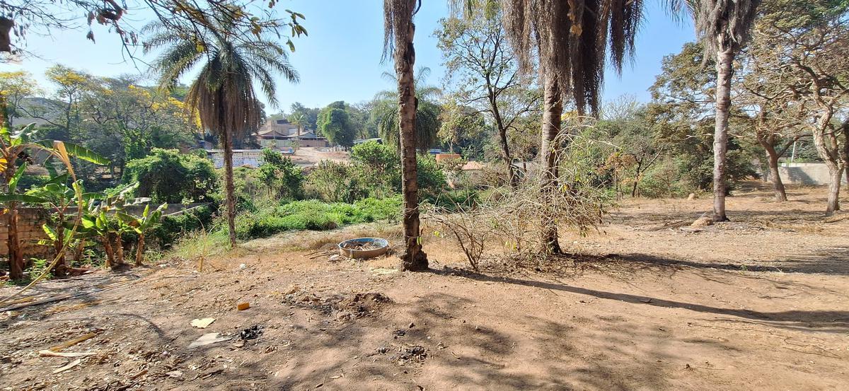 Lote, Chácara Cotia, 0 Quarto, 0 Vaga