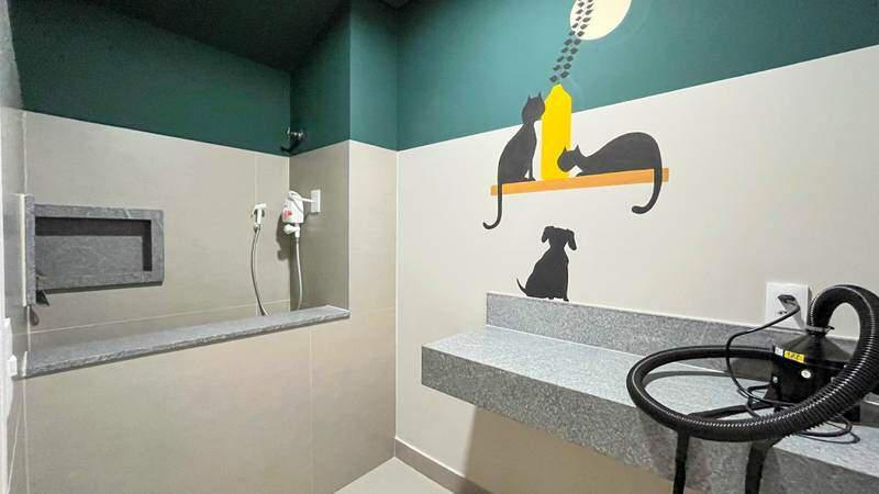 Apartamento, Grajaú, 2 Quartos, 2 Vagas, 2 Suítes