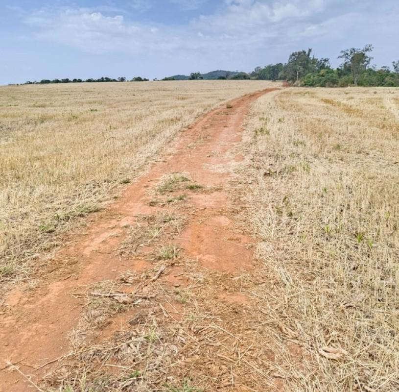 Fazenda, Zona Rural, 0 Quarto, 0 Vaga