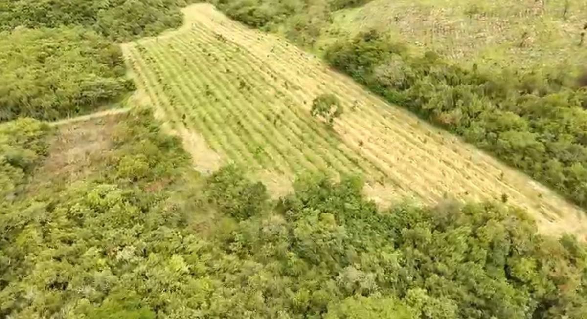 Fazenda, Zona Rural, 0 Quarto, 0 Vaga