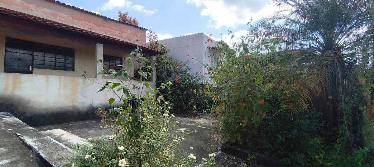 Lote, Santa Cruz, 0 Quarto, 0 Vaga