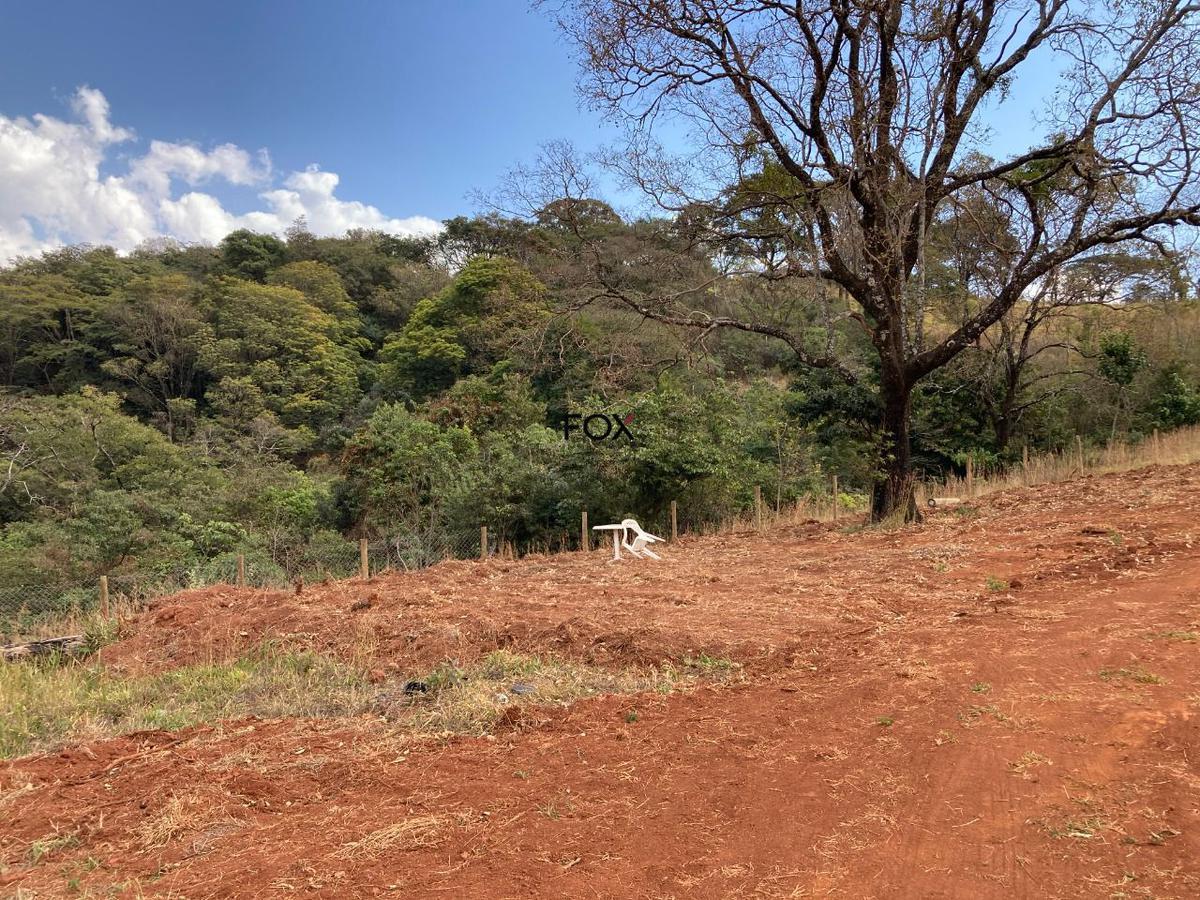 Lote, Piedade do Paraopeba, 0 Quarto, 0 Vaga