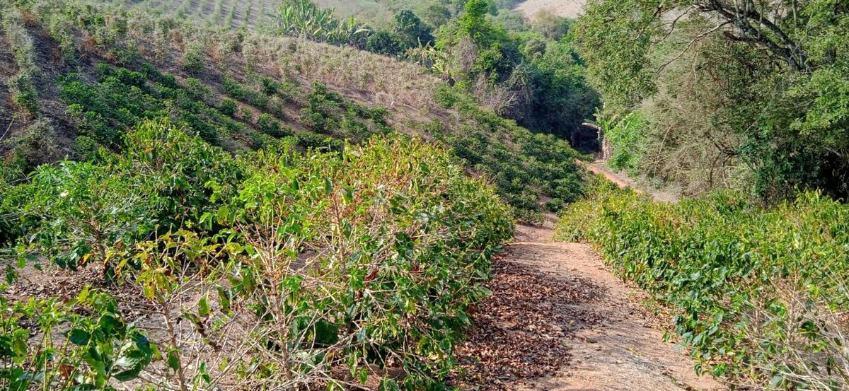 Fazenda, Zona Rural, 0 Quarto, 0 Vaga