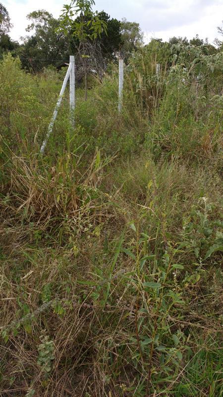Lote, Centro, 0 Quarto, 1 Vaga