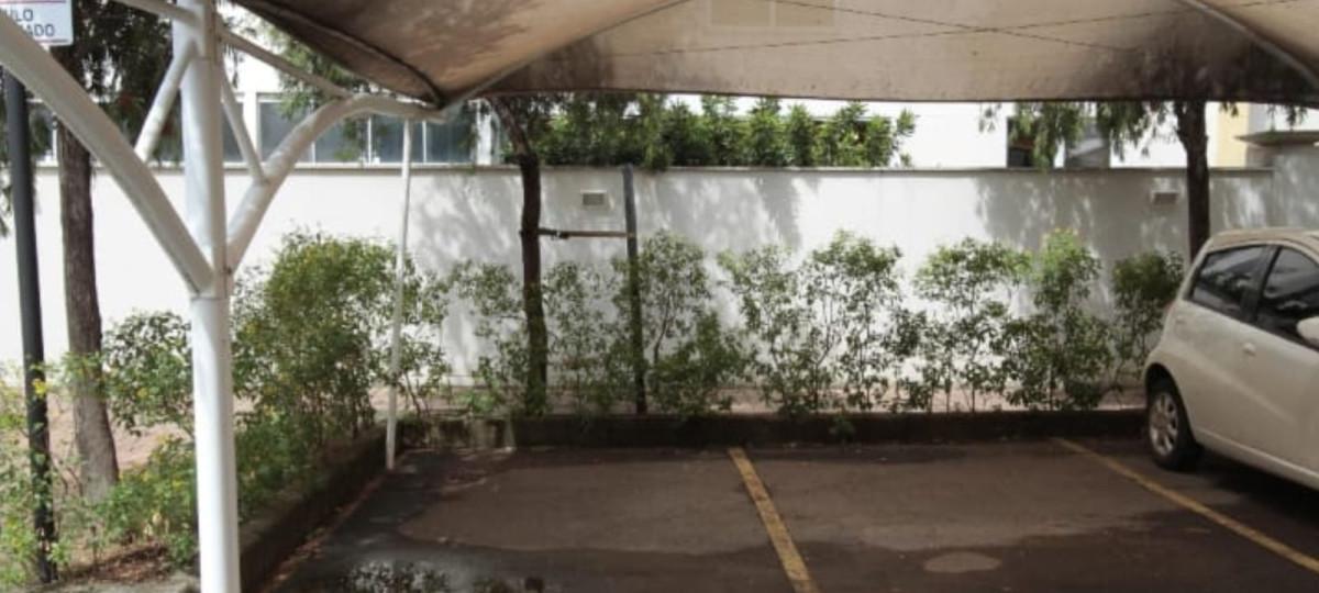 Apartamento, Palmeiras, 3 Quartos, 2 Vagas, 1 Suíte