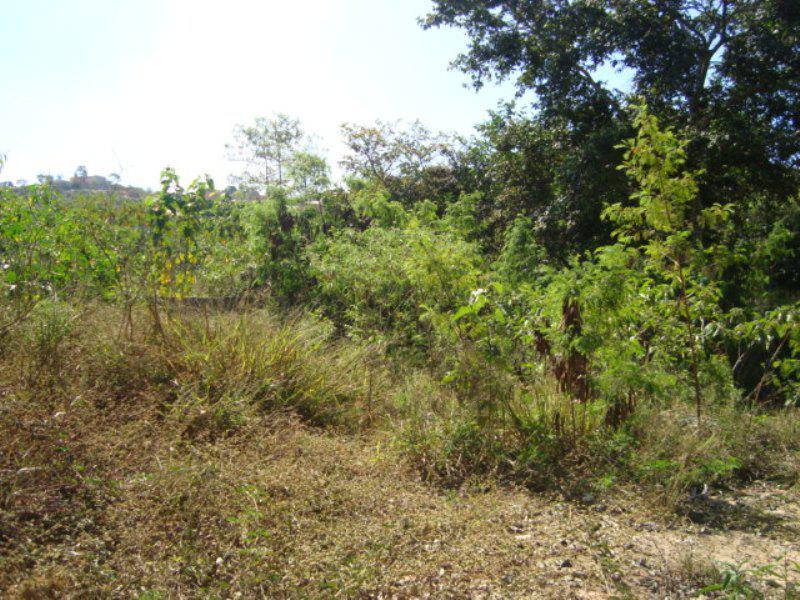 Lote, Nova Pampulha, 0 Quarto, 0 Vaga