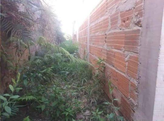 Lote, Girassol, 0 Quarto, 0 Vaga