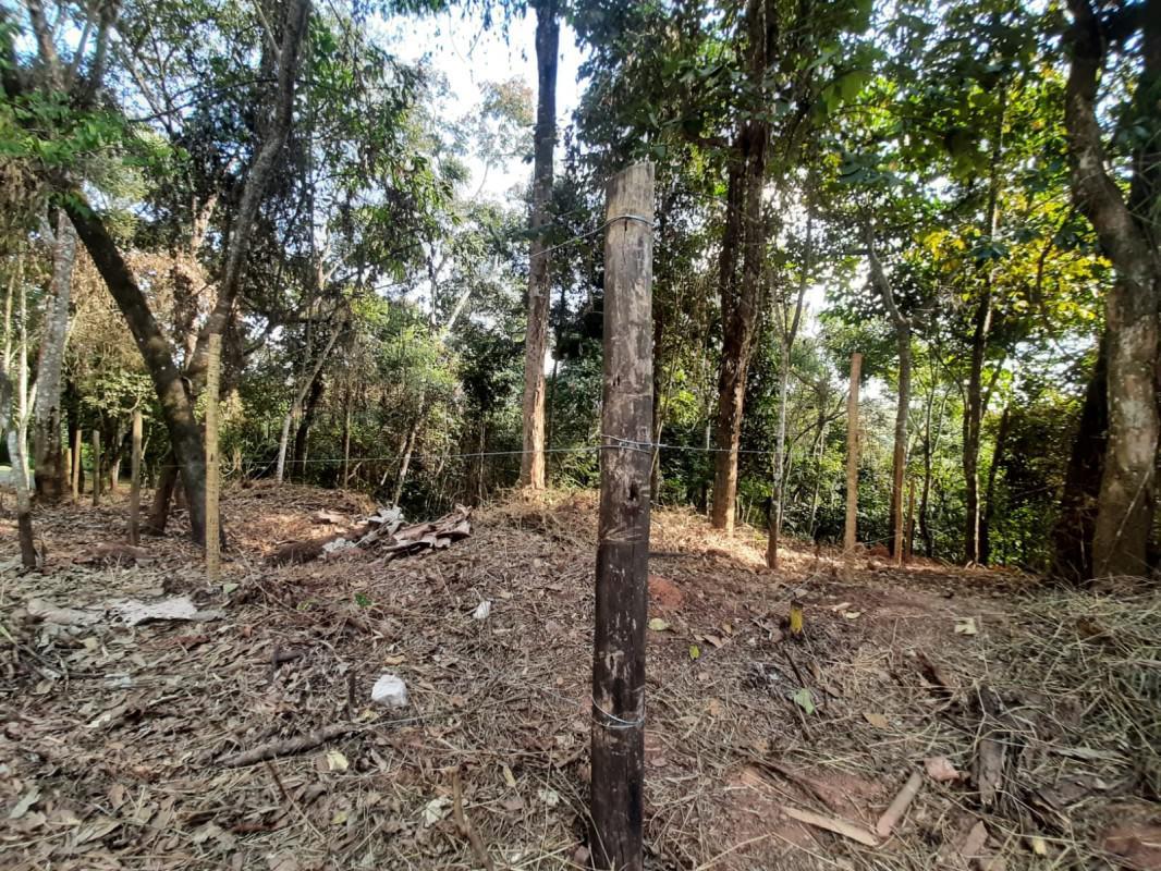 Lote, Green Park, 0 Quarto, 0 Vaga
