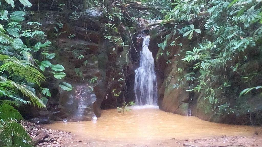Fazenda, Adelmolândia, 0 Quarto, 0 Vaga