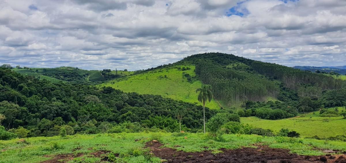 Fazenda, Zona Rural, 4 Quartos, 5 Vagas, 2 Suítes