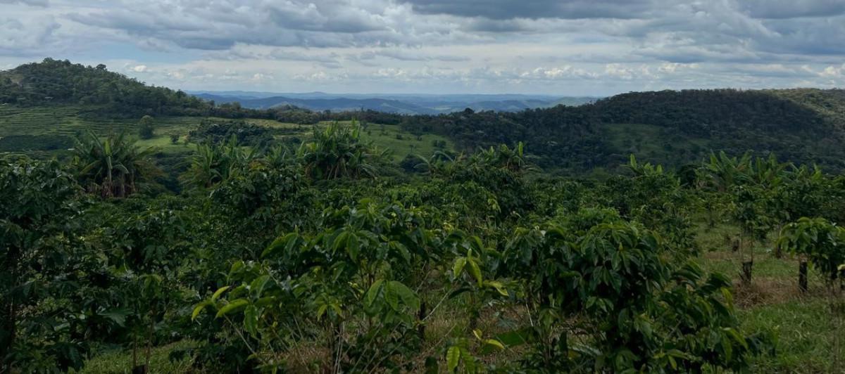 Fazenda, Zona Rural, 0 Quarto, 0 Vaga
