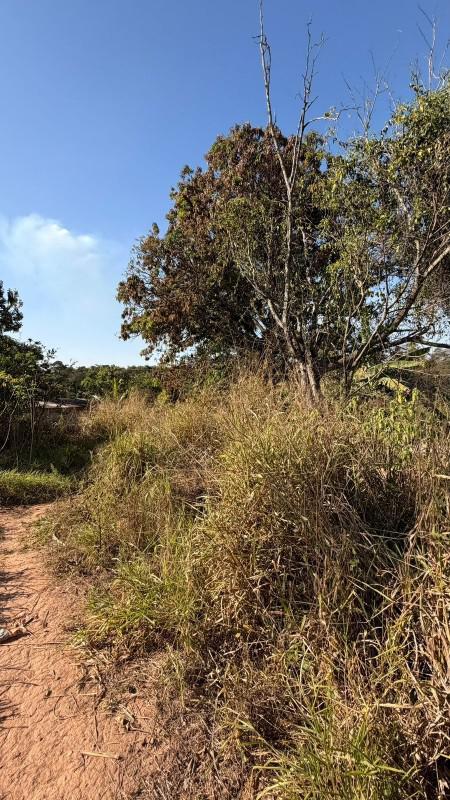 Lote, Centro, 0 Quarto, 0 Vaga