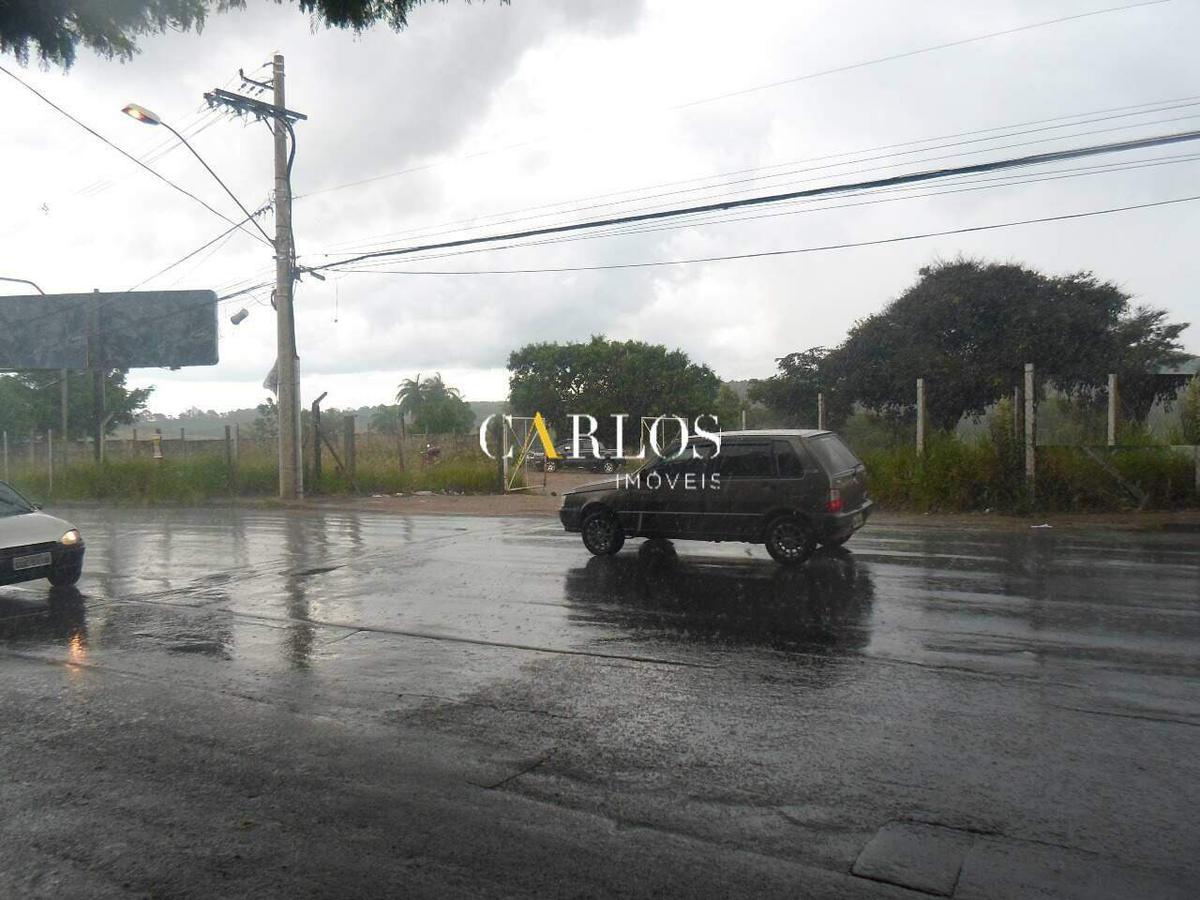 Lote, Campina Verde