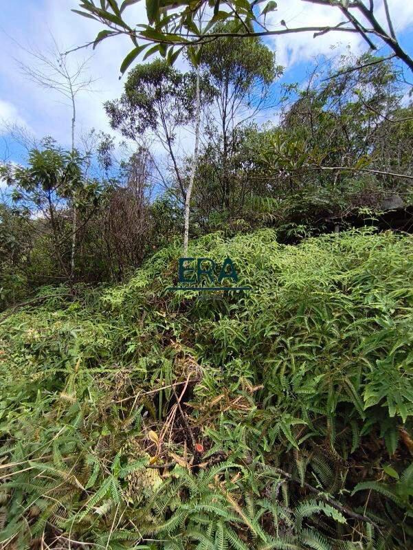 Lote, Parque do Engenho, 0 Quarto, 0 Vaga