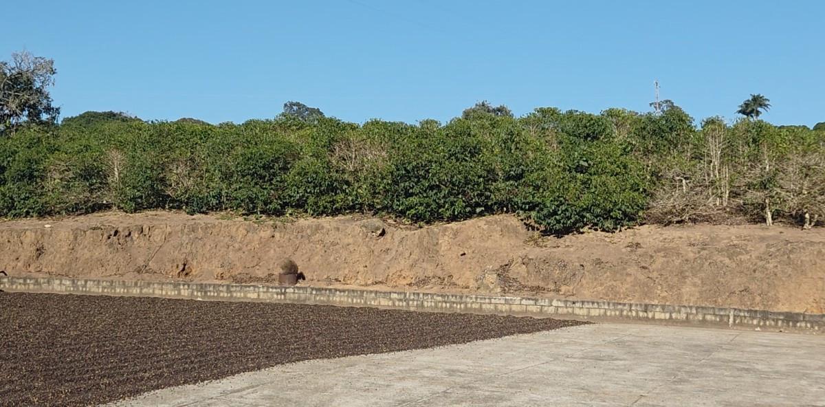 Fazenda, Zona Rural, 0 Quarto, 0 Vaga