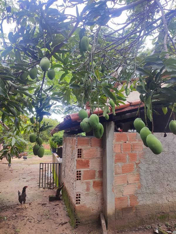 Fazenda, Centro, 2 Quartos, 15 Vagas