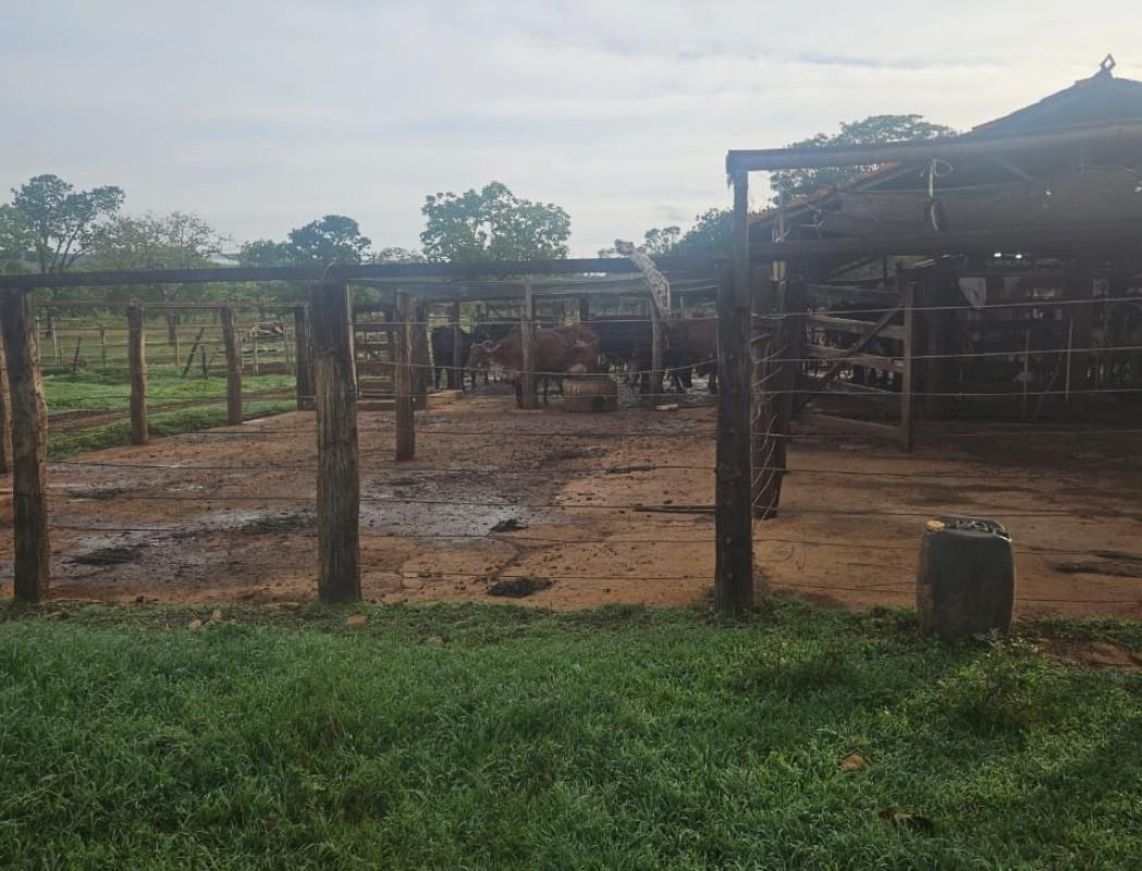 Fazenda, Zona Rural, 0 Quarto, 0 Vaga