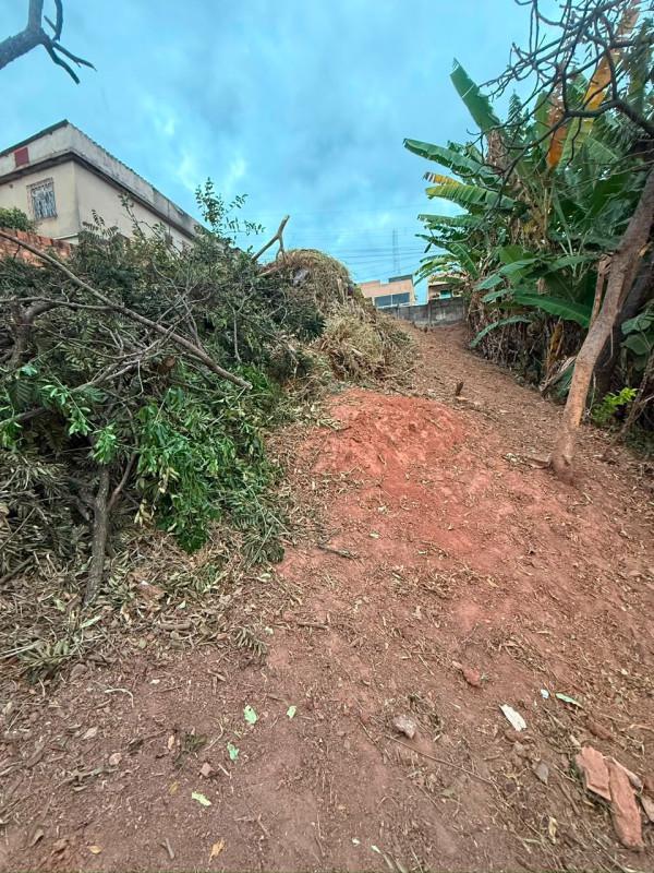 Lote, Novo Horizonte, 0 Quarto, 0 Vaga