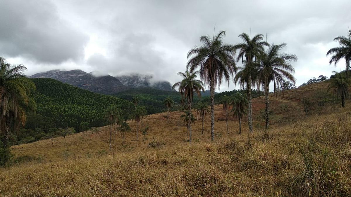 Lote, Zona Rural, 0 Quarto, 0 Vaga