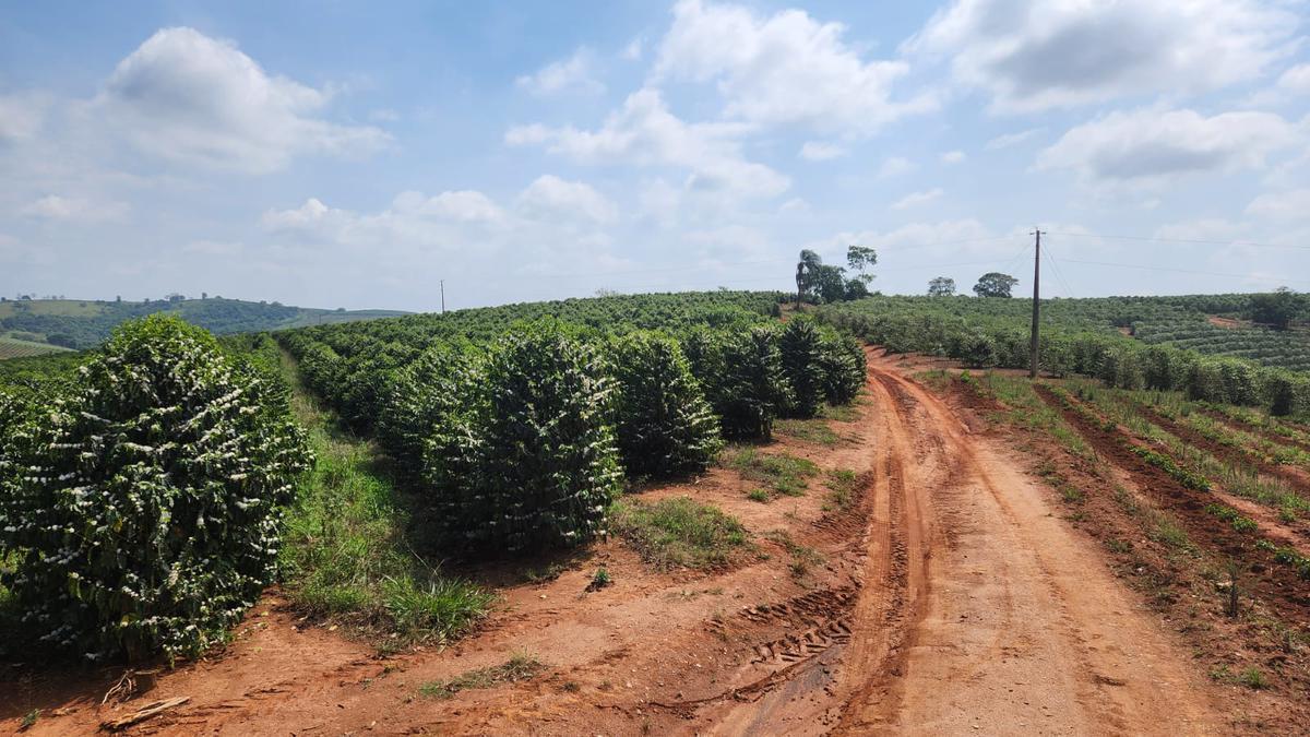 Fazenda, Zona Rural, 1 Quarto, 0 Vaga