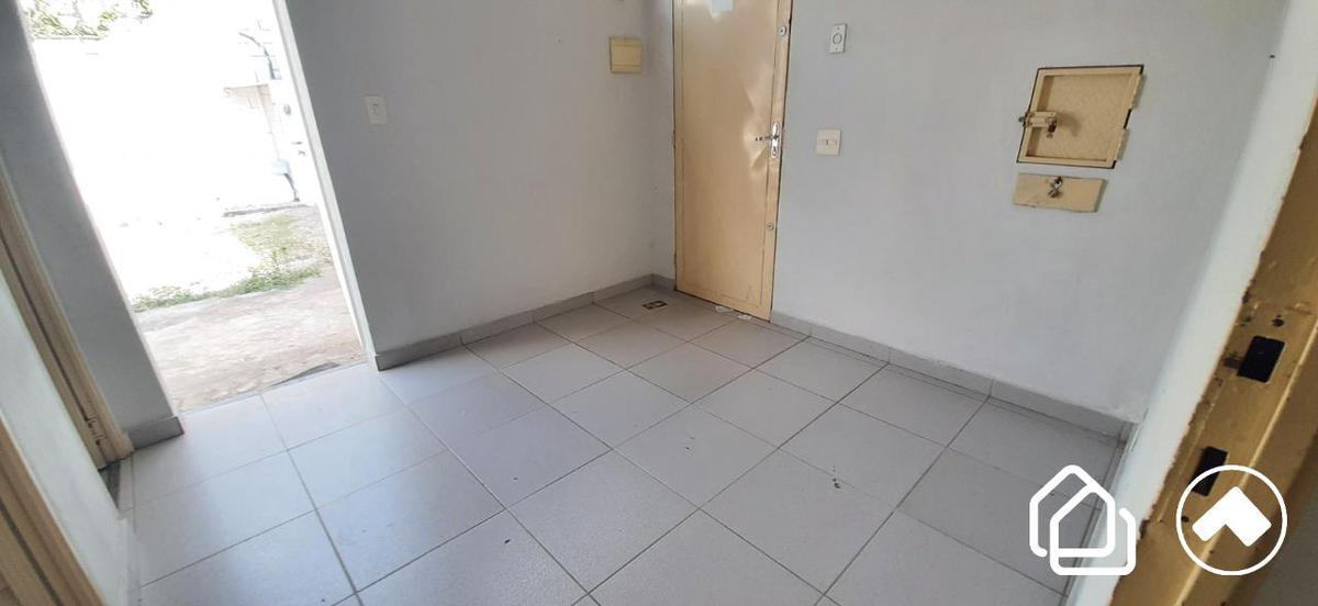Lote, Palmeiras