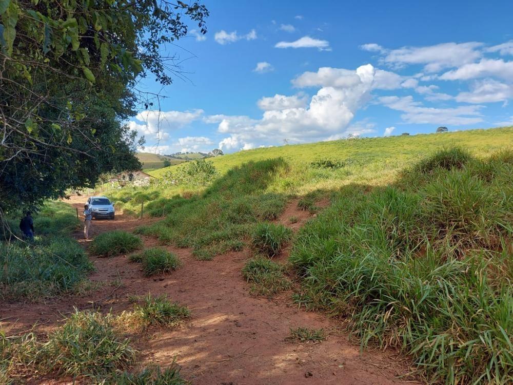 Fazenda, Centro, 1 Quarto, 1 Vaga
