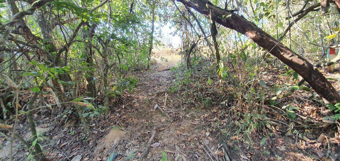 Lote, Zona Rural, 0 Quarto, 0 Vaga