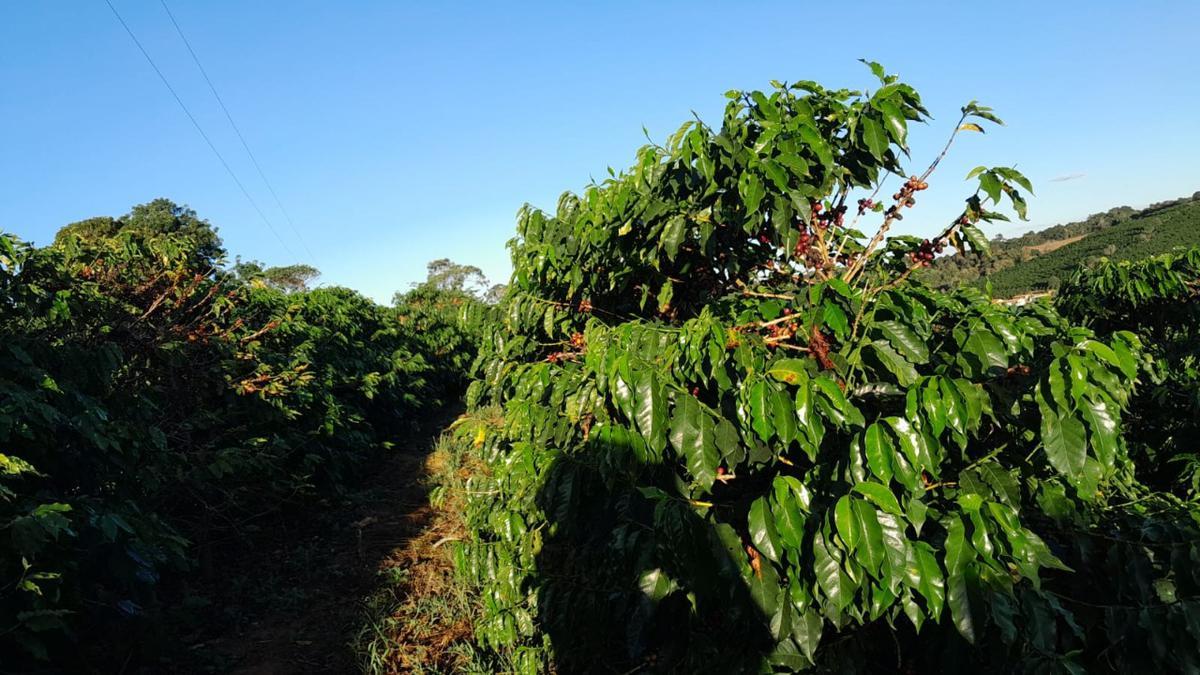 Fazenda, Zona Rural, 0 Quarto, 0 Vaga