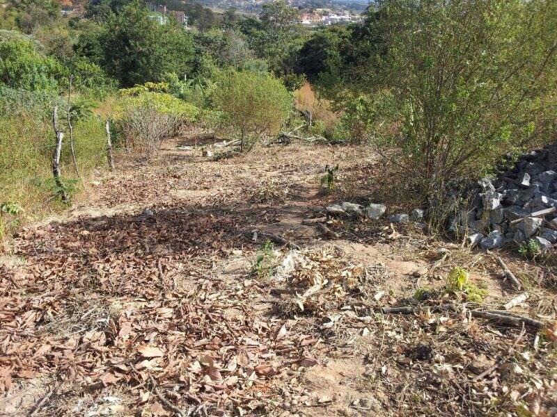 Lote, Tropical, 0 Quarto, 0 Vaga