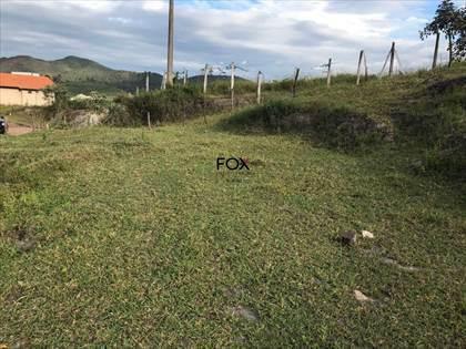 Lote, Nacional, 0 Quarto, 0 Vaga