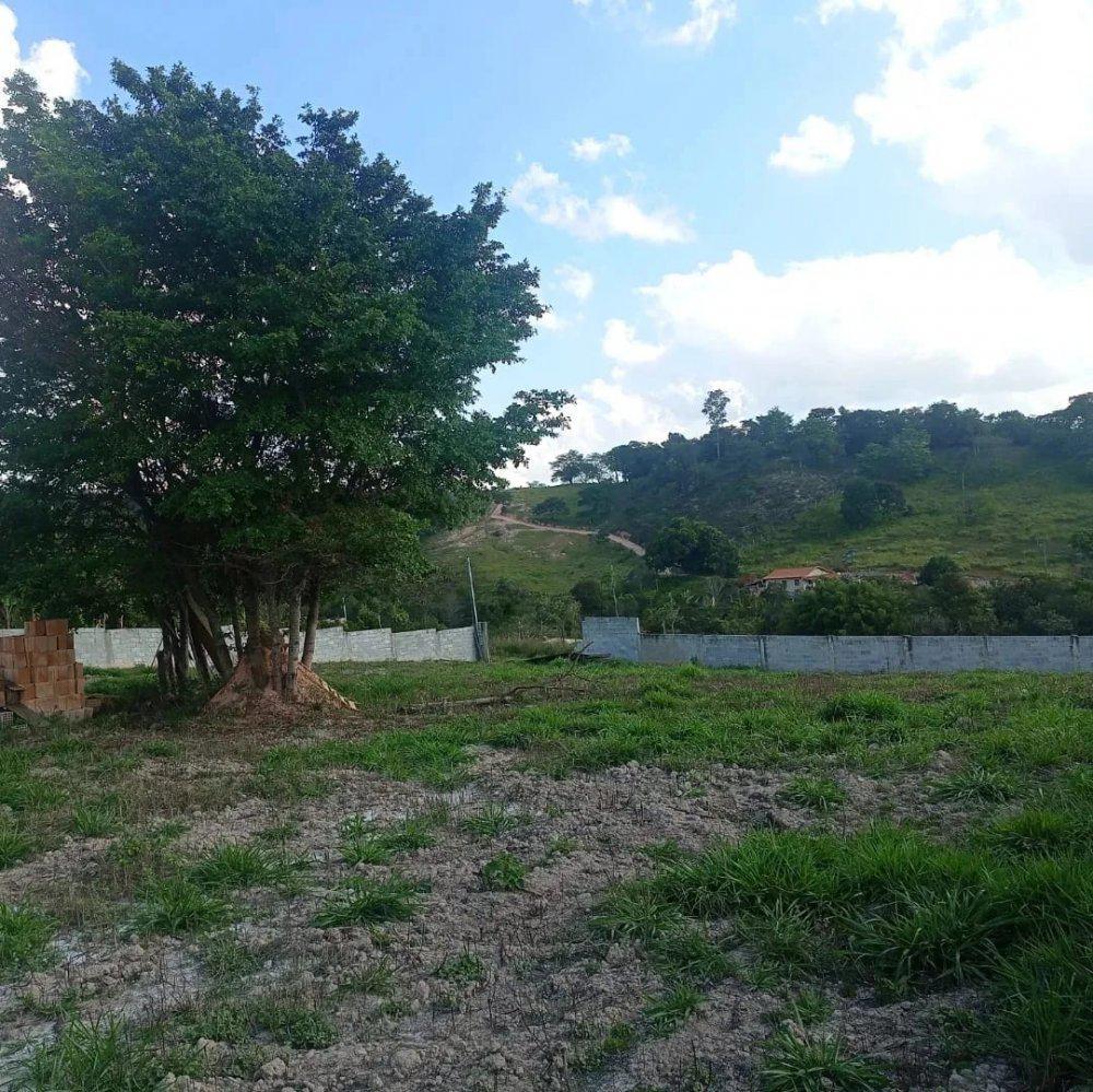 Fazenda, Aranha, 0 Quarto, 0 Vaga